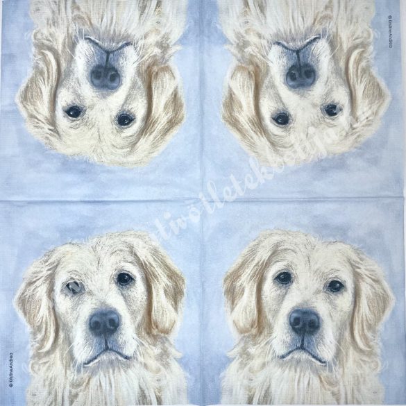 Szalvéta, kutya, macska, Golden retriever, 33x33 cm (11)