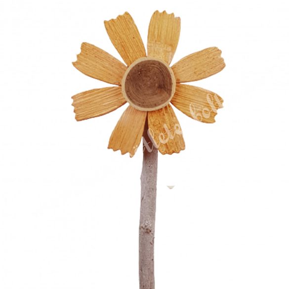Favirág, barack, 18,5x62,5 cm