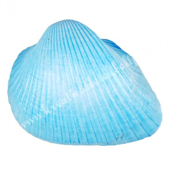 Kagyló, gyöngyház kék, 5-6 cm