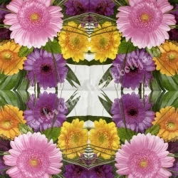 Szalvéta, virágok, gerbera, 33x33 cm (30)