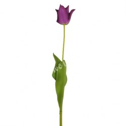 Tulipán, lila, 70 cm
