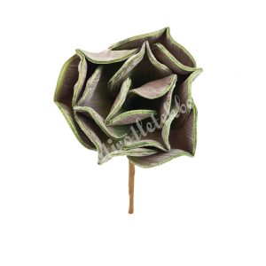 Beszúrós, polifoam szukkulens, zöld, 13 cm