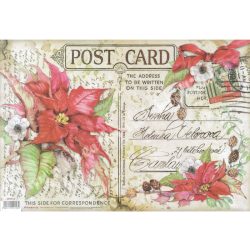 Rizspapír, Post Card, 48x33 cm (418)