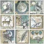 Scrapbook papír, Állatok keretben, 30,5x30,5 cm