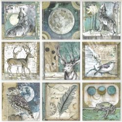 Scrapbook papír, Állatok keretben, 30,5x30,5 cm