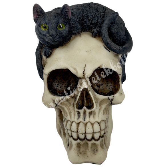 Polyresin koponya fekete macskával, 9x14,5 cm