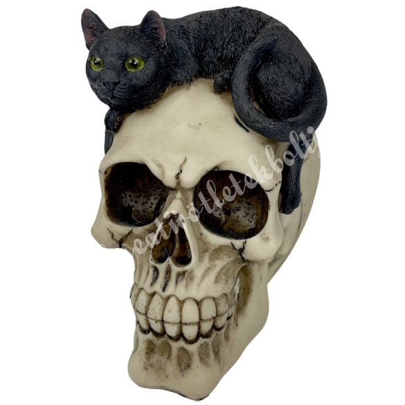 Polyresin koponya fekete macskával, 9x14,5 cm