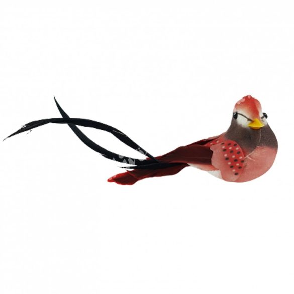 Madárka pinty, mágneses, piros, 15x4 cm