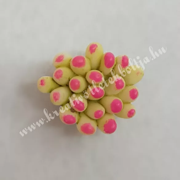 Mini pozsgás növényke