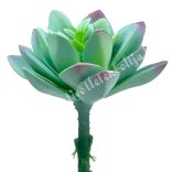 Kövirózsa, zöld-rózsaszín, 8,5x5 cm