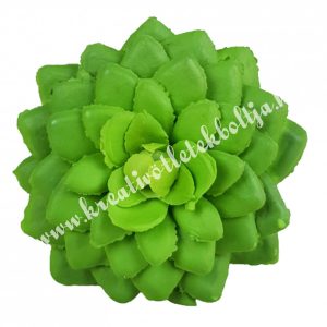 Kövirózsa, zöld, 6,5x2,5 cm