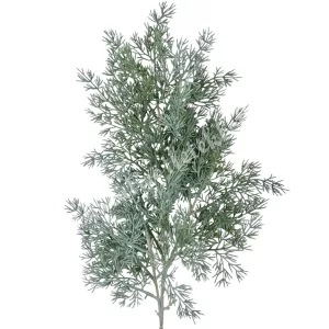 Tujaág, hamvas zöld, 65 cm