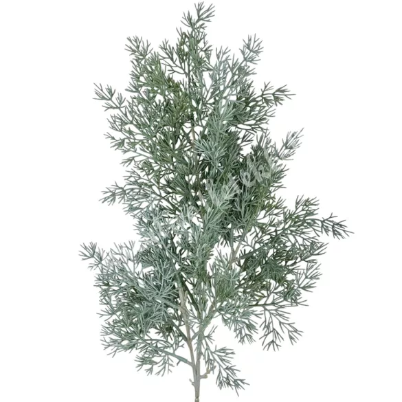 Tujaág, hamvas zöld, 65 cm