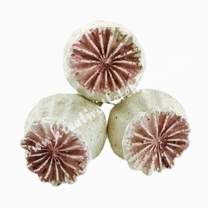 Betűzős gipsz mákgubó, világoslila, 3 db/csokor