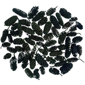 Szárazdekoráció, birch pine, fenyőzöld, kb. 30 gr/csomag