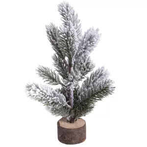 Havas fenyő, fa talppal, 24 cm