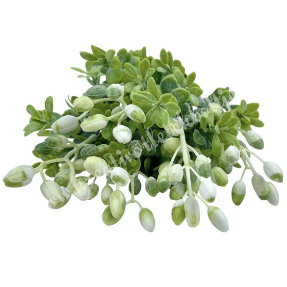 Zöld csokor bogyóval, fehér, 36 cm