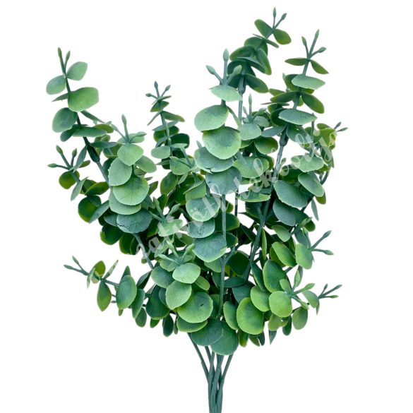 Eukaliptusz csokor, hamvas zöld, 32 cm
