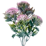 Varjúháj csokor, rózsaszín, 31 cm