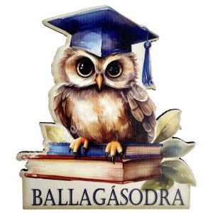 Dekorkarton tábla, bagoly, Ballagásodra, 6x7 cm