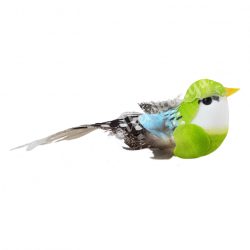 Csipeszes madárka, zöld, 10x4 cm