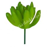 Pozsgás, zöld, 4,5x7 cm