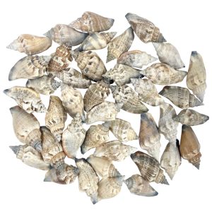 Csigaház, 100 gr/csomag