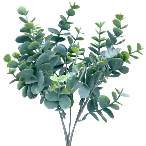 Eukaliptusz csokor, hamvas zöld, 33 cm