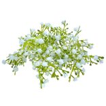 Rezgőcsokor, fehér, 34 cm