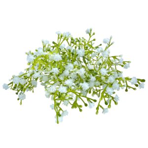 Rezgőcsokor, fehér, 34 cm