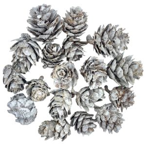 Szárazdekoráció, toboz, 30 gr/csomag