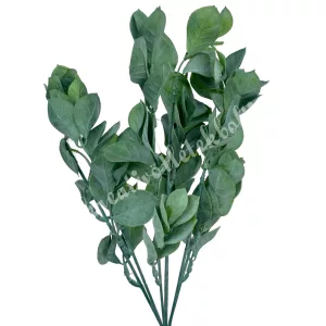 Babérmeggy, zöld, 36 cm