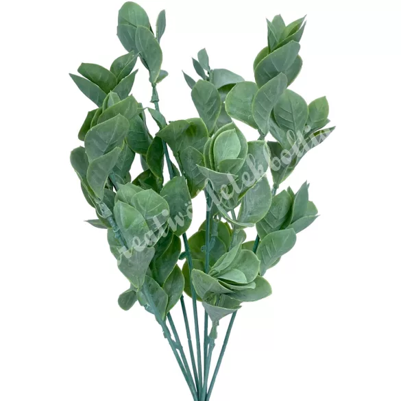 Babérmeggy, hamvas zöld, 36 cm