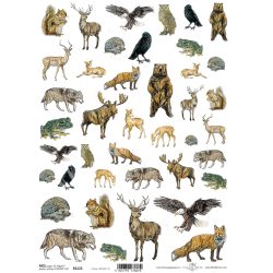 Rizspapír, erdei állatok, A4 (R2122) 