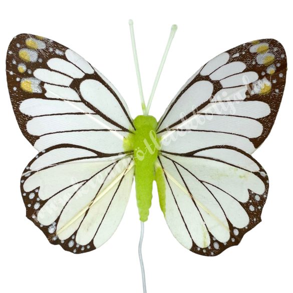 Betűzős pillangó, zöld, 8x6 cm