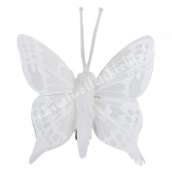 Fehér csipeszes pillangó, 4., 4,5x5,5 cm