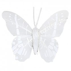 Fehér csipeszes pillangó, 1., 7,5x7 cm