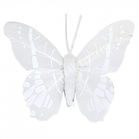 Fehér csipeszes pillangó, 1., 7,5x7 cm