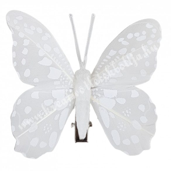 Fehér csipeszes pillangó, 2., 8x7 cm