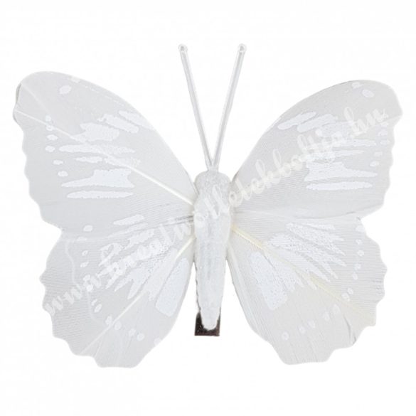 Fehér csipeszes pillangó, 3., 7,5x7 cm