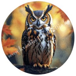 Dekor tábla, kerek, bagoly, 5 cm