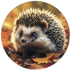 Dekor tábla, kerek, süni, 5 cm