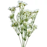 Apró virágos csokor, fehér, 34 cm