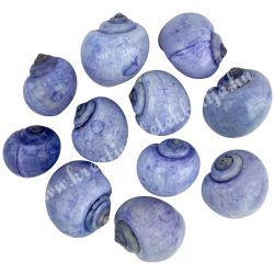 Csigaház, kék, 50 gr/csomag