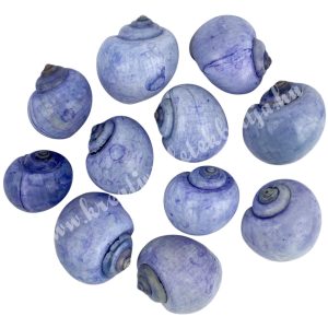 Csigaház, kék, 50 gr/csomag