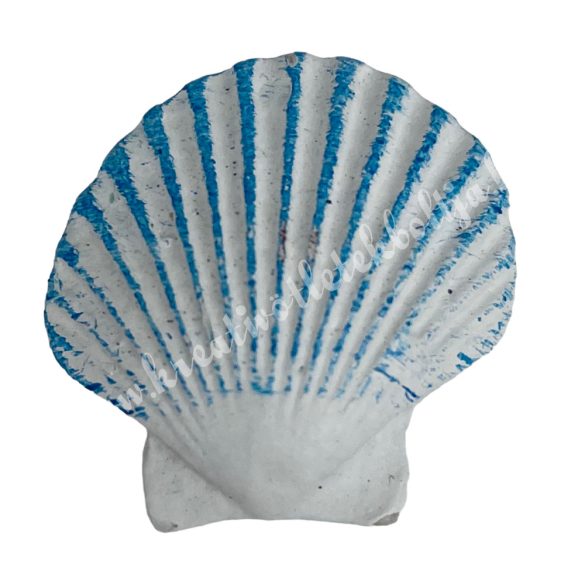 Ragasztható polyresin kagyló, kék-fehér, 2,6x2,6 cm