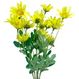 Margaréta csokor, sárga, 37 cm