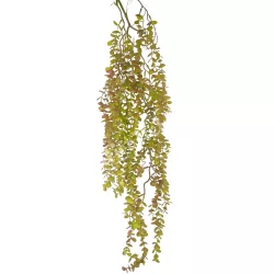 Eukaliptusz csüngő, zöld-barna, 103 cm