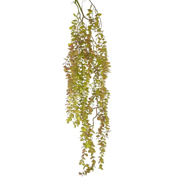 Eukaliptusz csüngő, zöld-barna, 103 cm