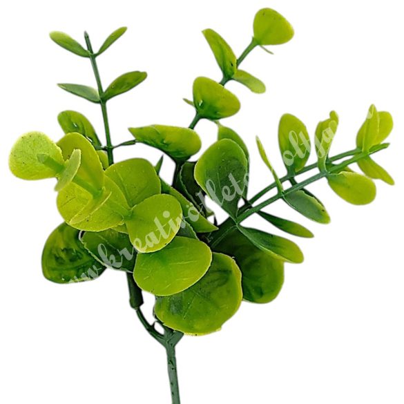 Eukaliptusz ág, zöld, 20 cm